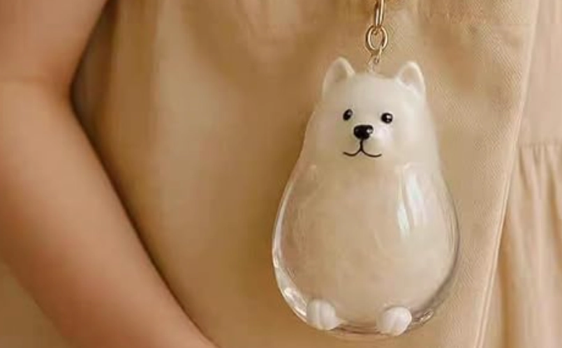 寵物毛髮保存方法