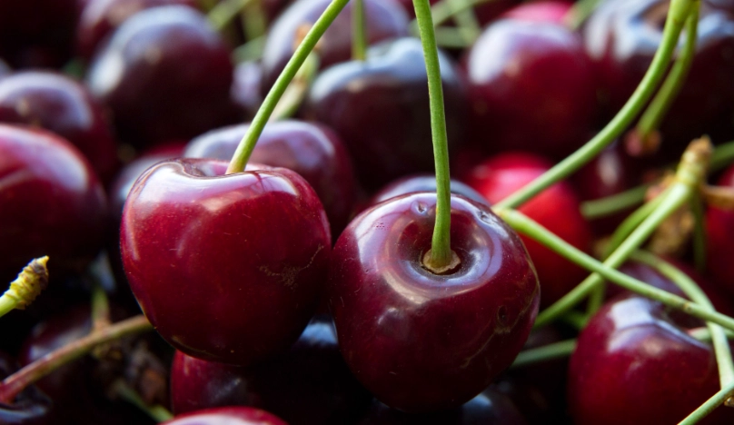 櫻桃可以每天吃嗎？營養師解答每日攝取量、好處與潛在風險