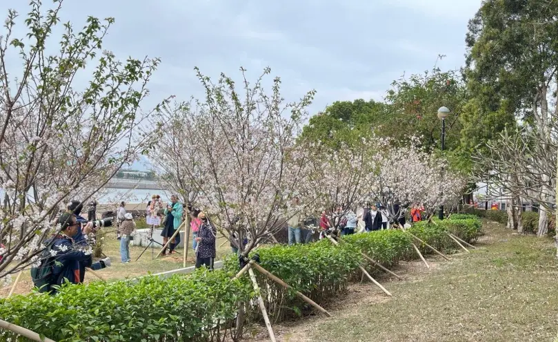 沙田石門有咩行