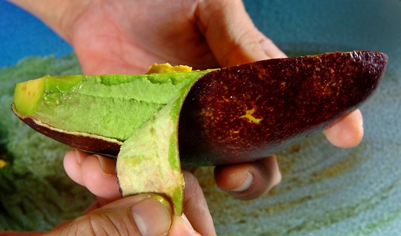 酪梨怎麼吃 酪梨怎麼吃