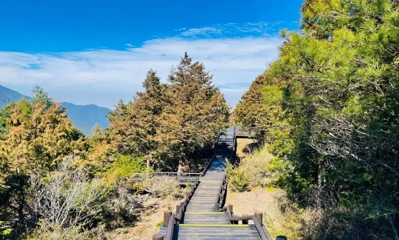 觀霧國家森林遊樂區