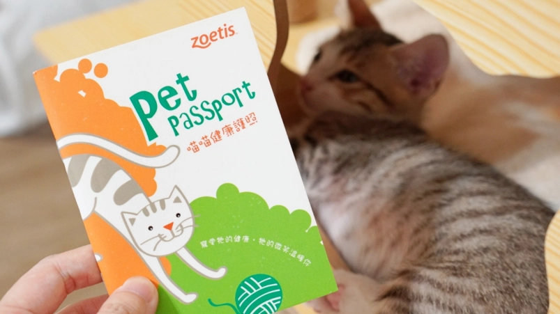 貓疫苗價格 貓疫苗價格