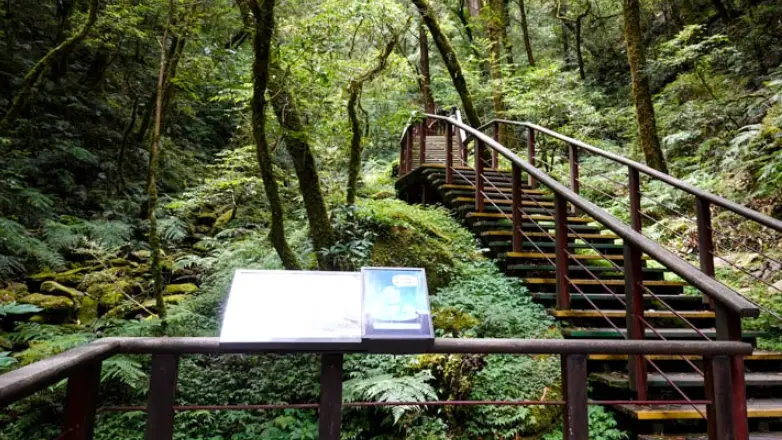 拉拉山交通 拉拉山交通