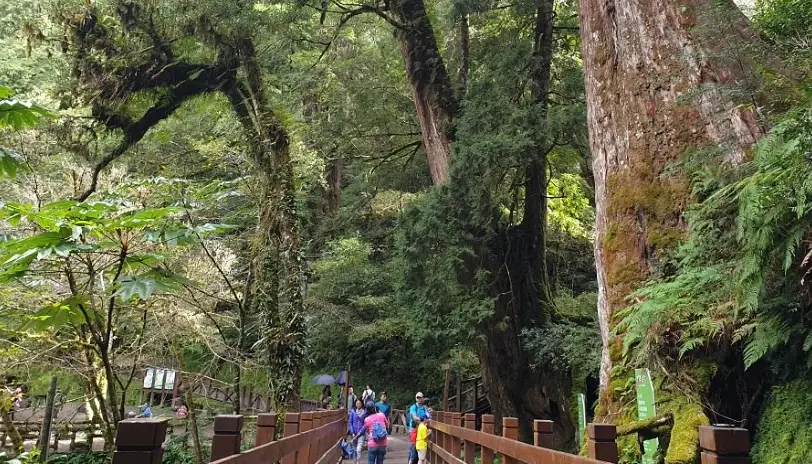 拉拉山交通 拉拉山交通