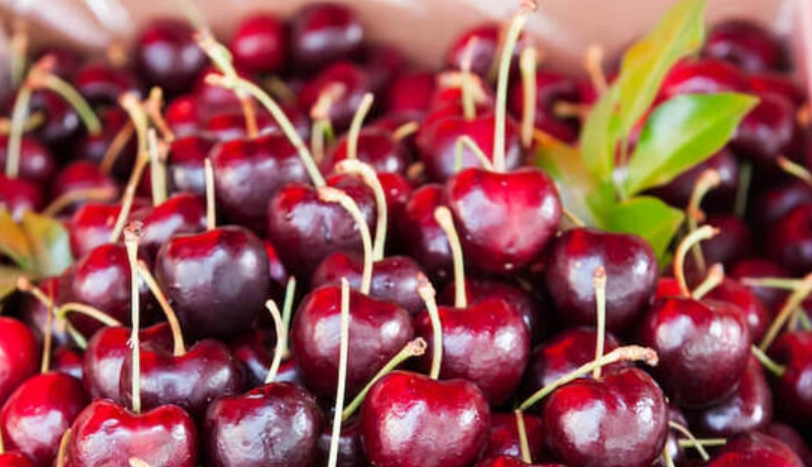 櫻桃好處 櫻桃好處