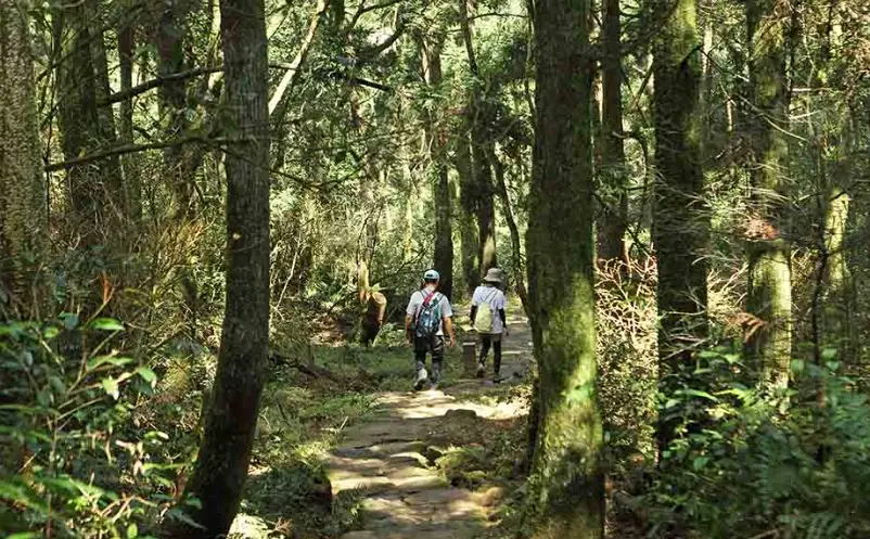 台北森林步道