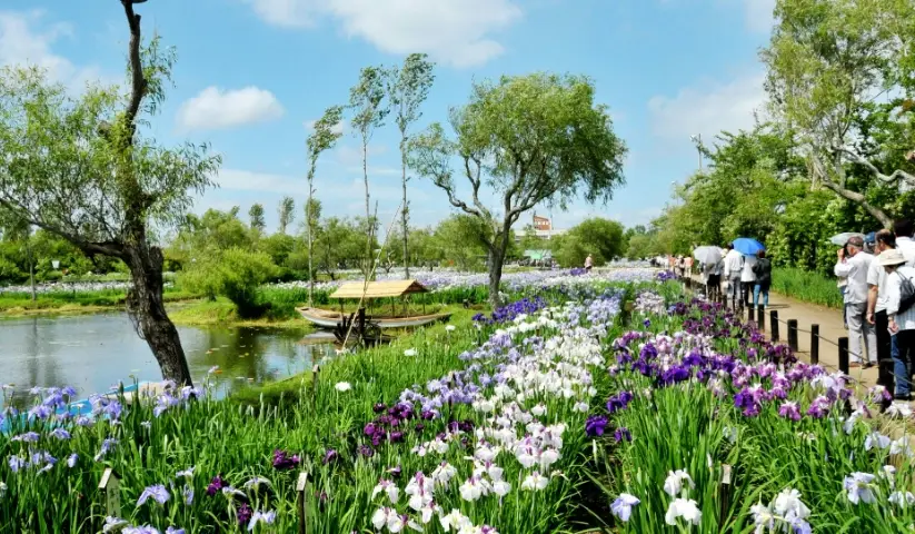 呼和浩特觀光行程 呼和浩特觀光行程