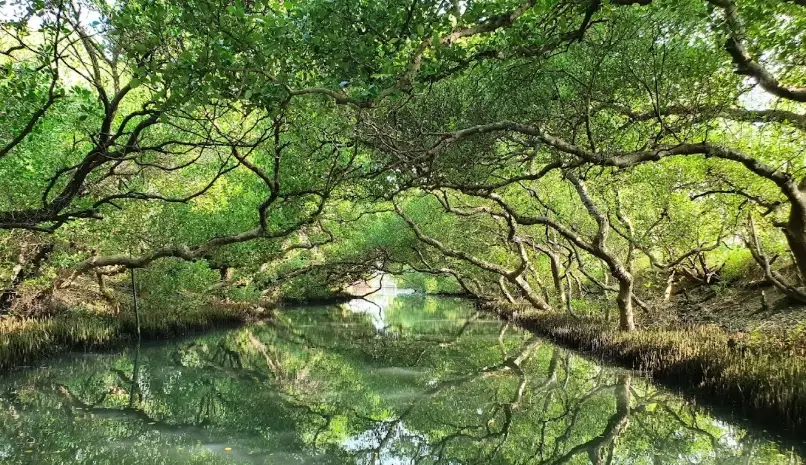 台南秘境 台南秘境