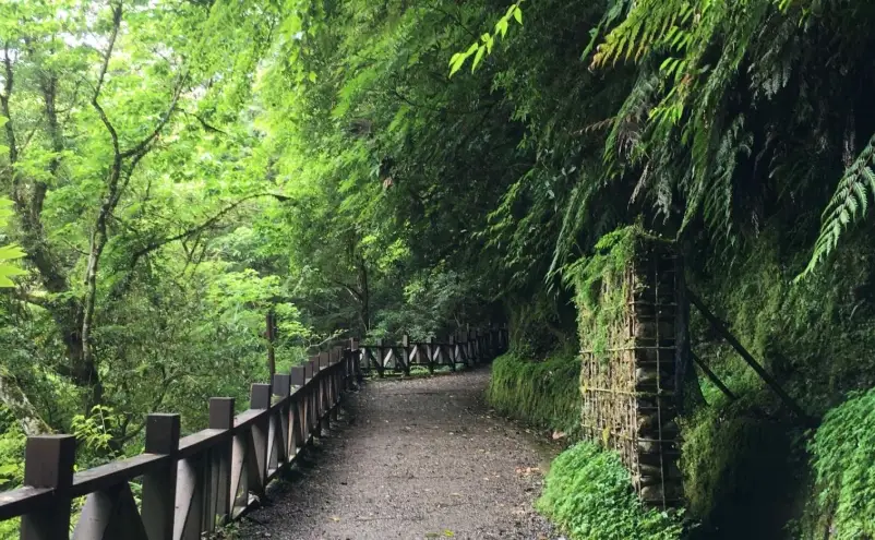 拉拉山交通 拉拉山交通