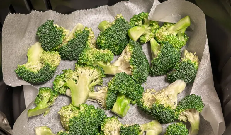 氣炸鍋新手教學 氣炸鍋新手教學