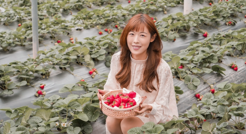 桃園採草莓農場