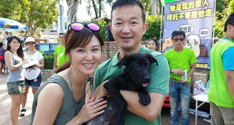 飼主責任 飼主責任