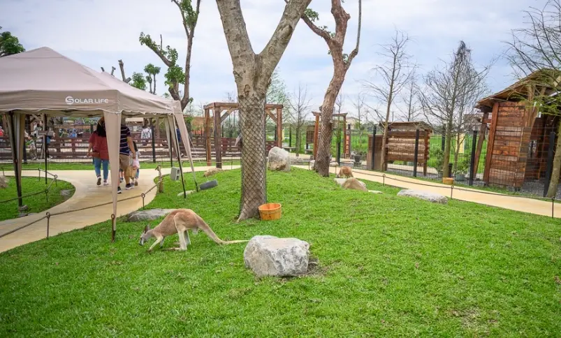 員山景觀餐廳 員山景觀餐廳