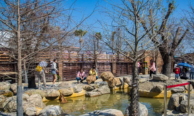 宜蘭員山美食 宜蘭員山美食