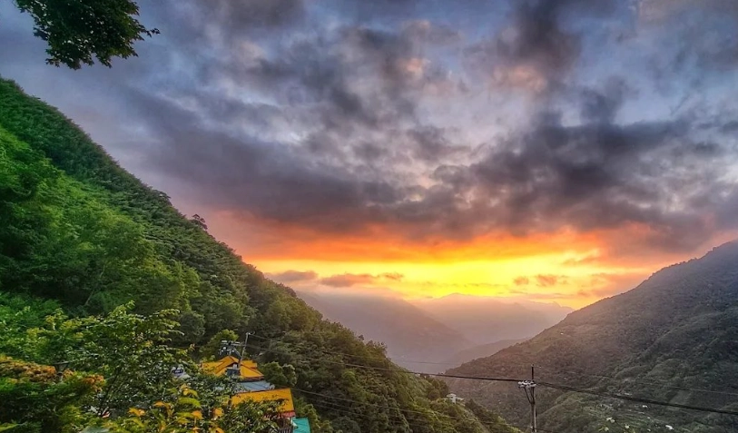 拉拉山神木群步道