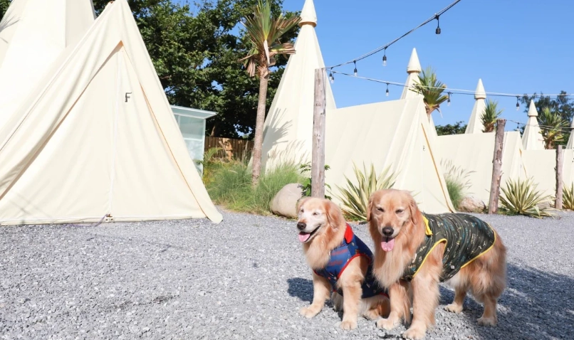 寵物友善景點 花蓮