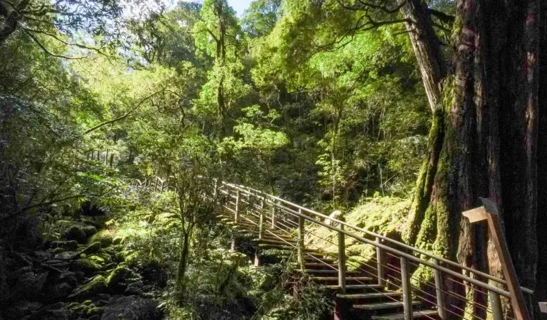 拉拉山住宿 拉拉山住宿