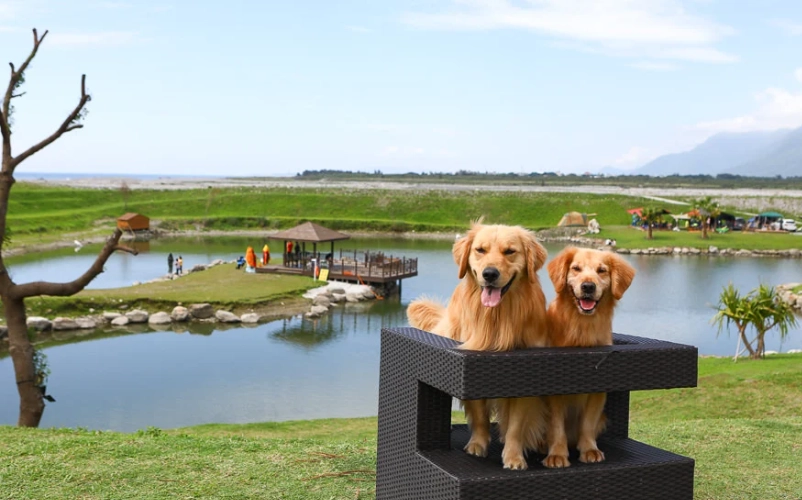 花蓮寵物友善農場