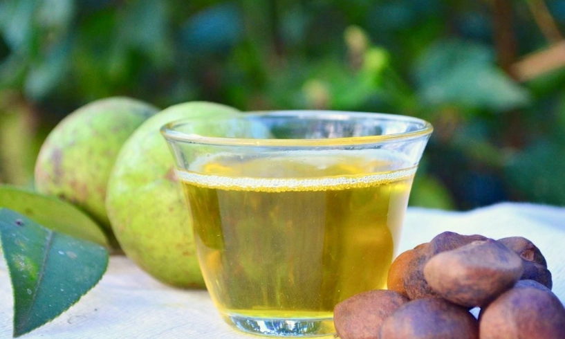 茶籽油苦茶油功效