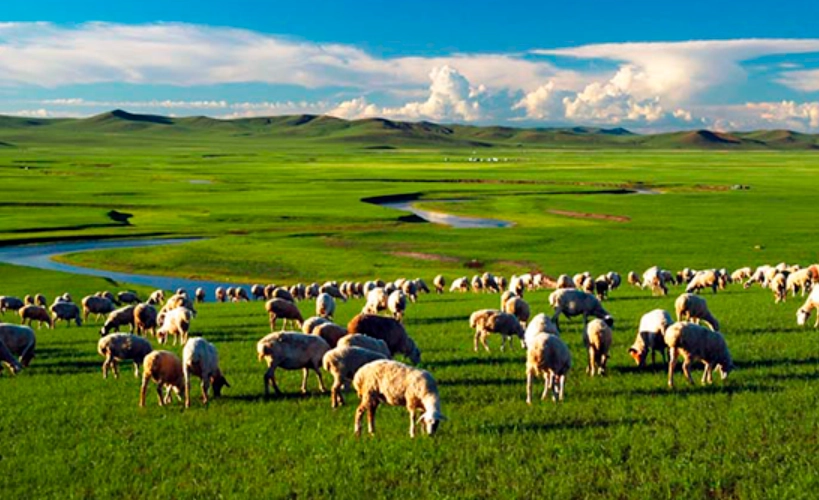 內蒙古旅遊攻略