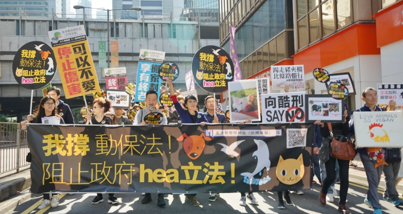 動物保護法 動物保護法