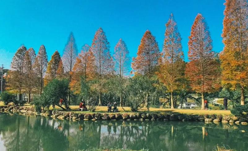 新竹景點一日遊
