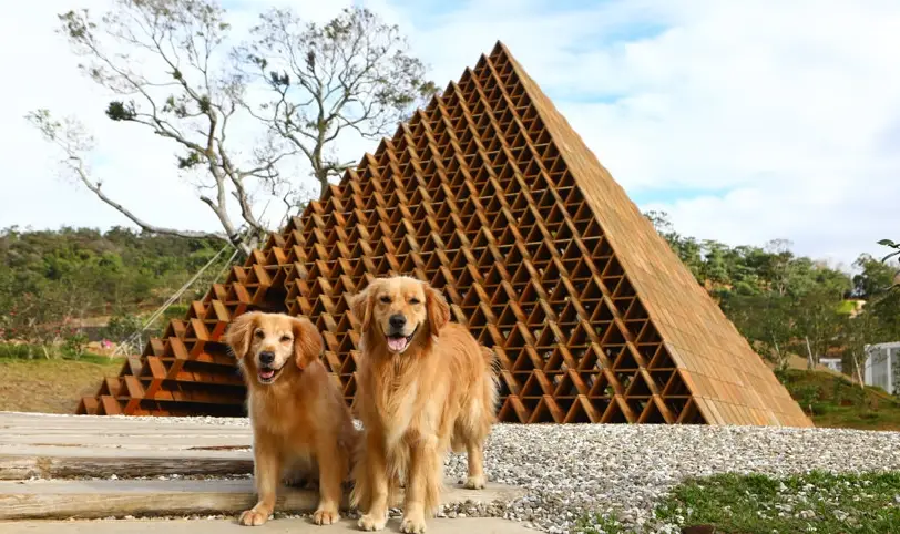 新竹寵物一日遊