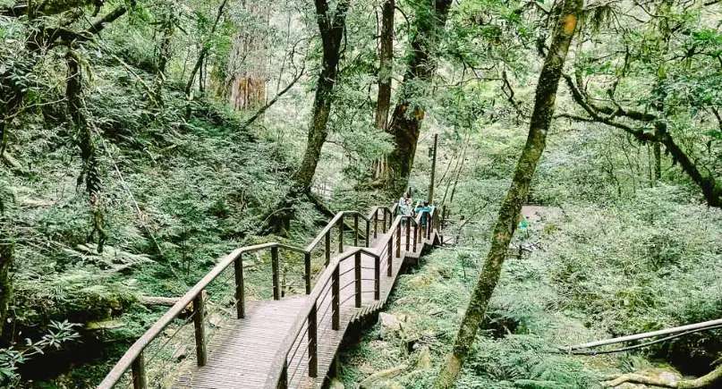 拉拉山達觀山 交通