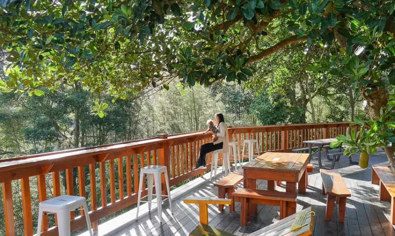 新竹寵物友善咖啡廳