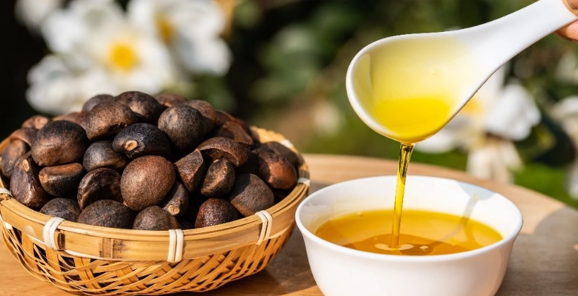 空腹喝苦茶油功效