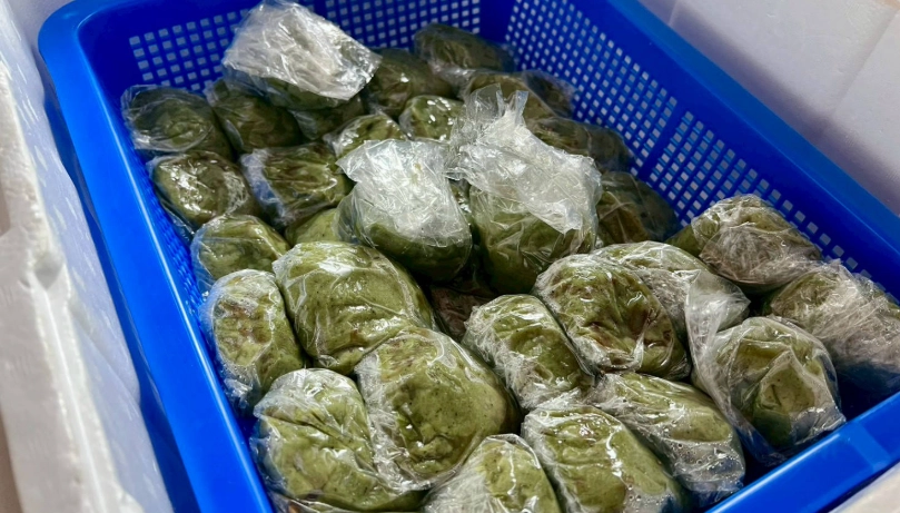 阿里山三天兩夜行程