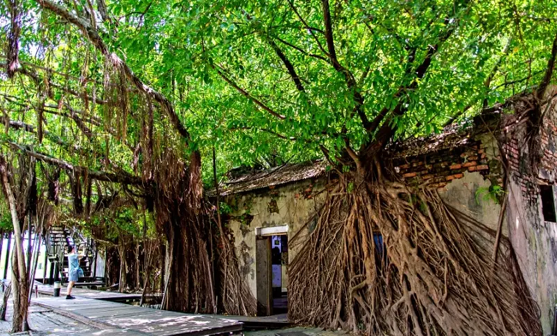 台南高雄屏東旅遊攻略 台南高雄屏東旅遊攻略