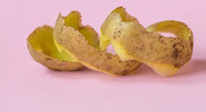 自製有機肥料 自製有機肥料