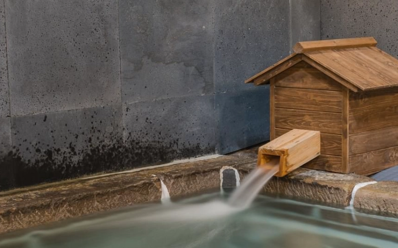 溫泉一日遊行程