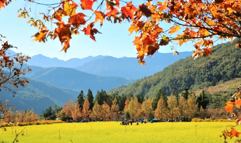 武陵農場一日遊