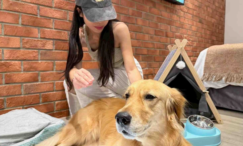 花蓮寵物友善景點