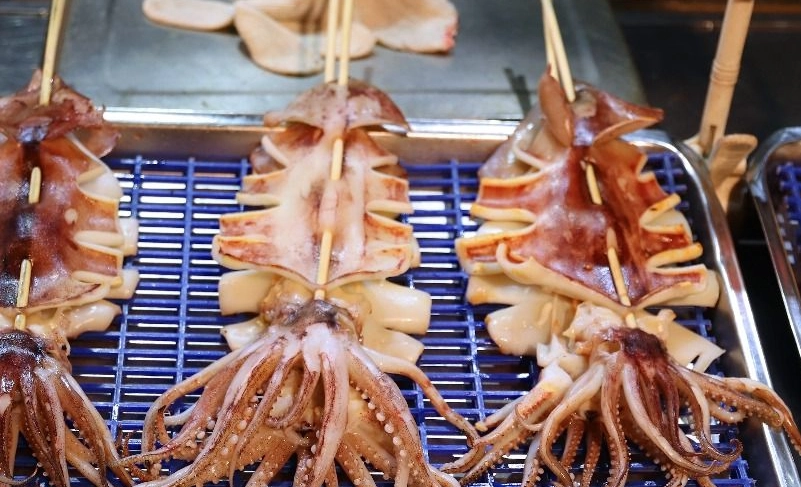 新北公共交通旅遊