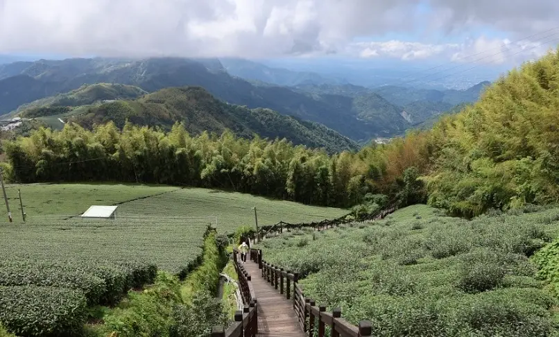 阿里山三天兩夜行程