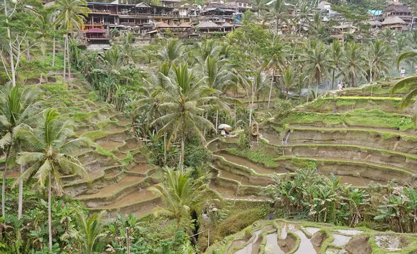德格拉朗梯田門票