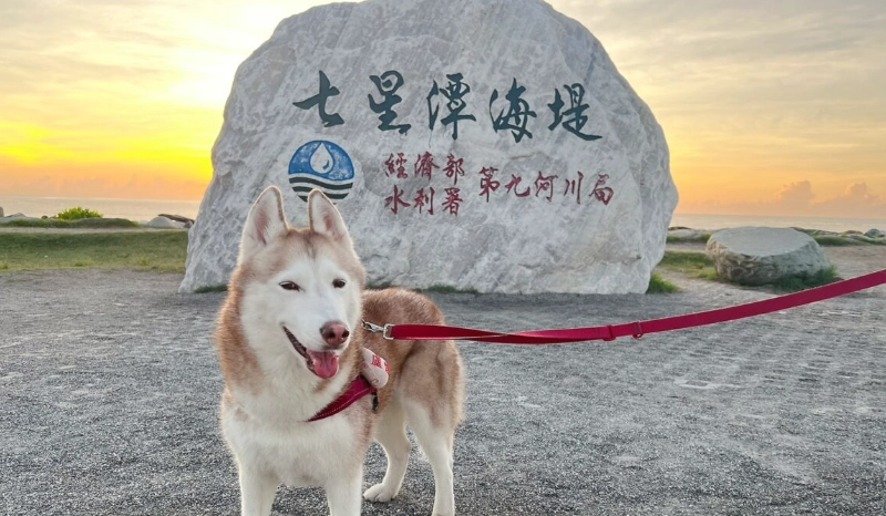 花蓮帶寵物旅遊
