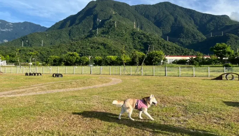 寵物友善住宿花蓮