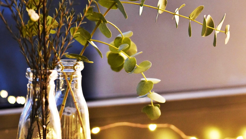 天然止咳方法 天然止咳方法