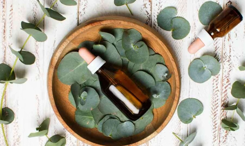 尤加利精油功效