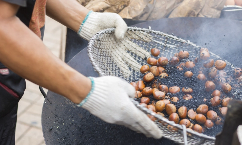 栗子料理食譜 栗子料理食譜