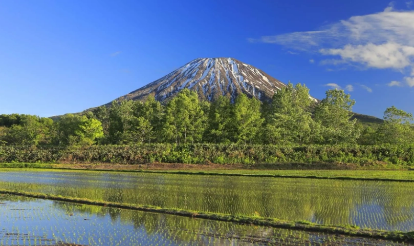 二世谷景點全攻略：必遊景點、交通路線與實用貼士