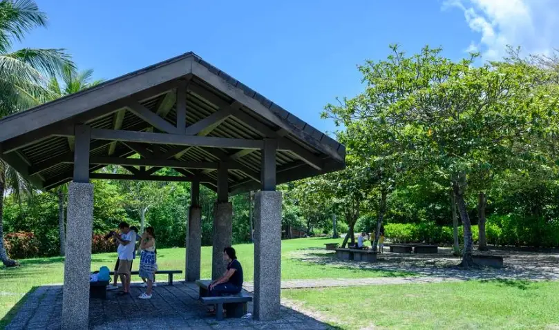 休息站咖啡 休息站咖啡