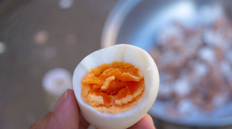 台北泡湯一日遊