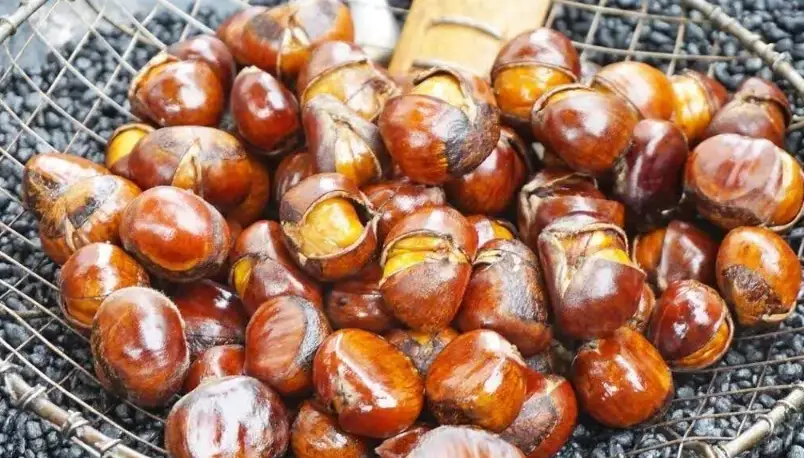 栗子料理食譜 栗子料理食譜