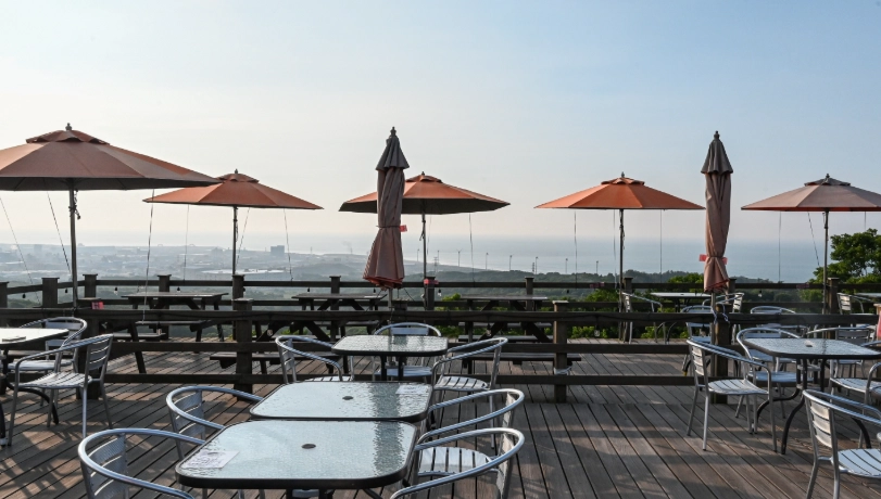 桃園看飛機餐廳