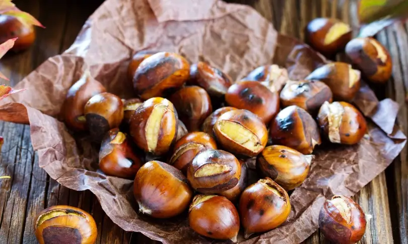 糖炒栗子做法 糖炒栗子做法